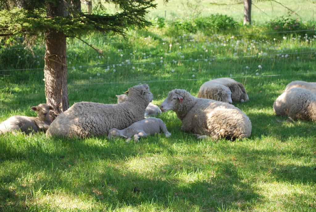 Yorkshire Farm Βίλα Shintoku Εξωτερικό φωτογραφία