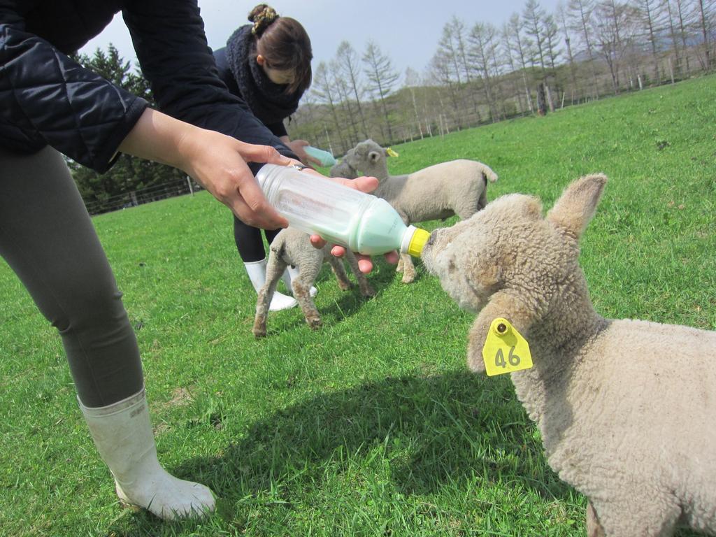 Yorkshire Farm Βίλα Shintoku Εξωτερικό φωτογραφία
