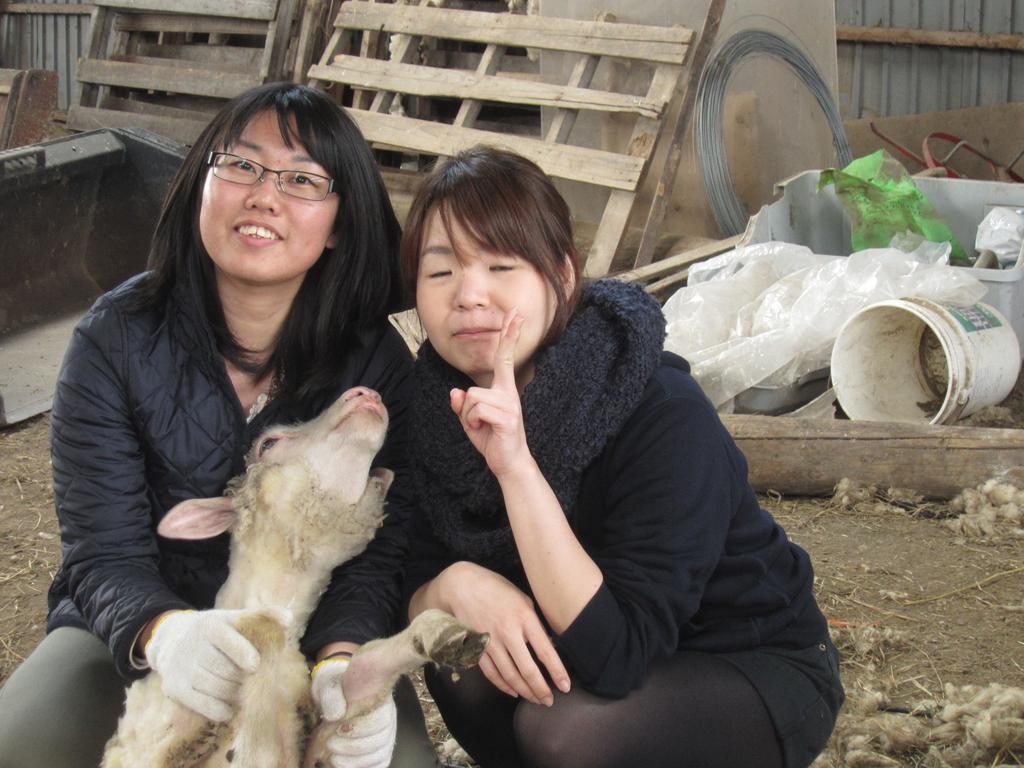 Yorkshire Farm Βίλα Shintoku Εξωτερικό φωτογραφία