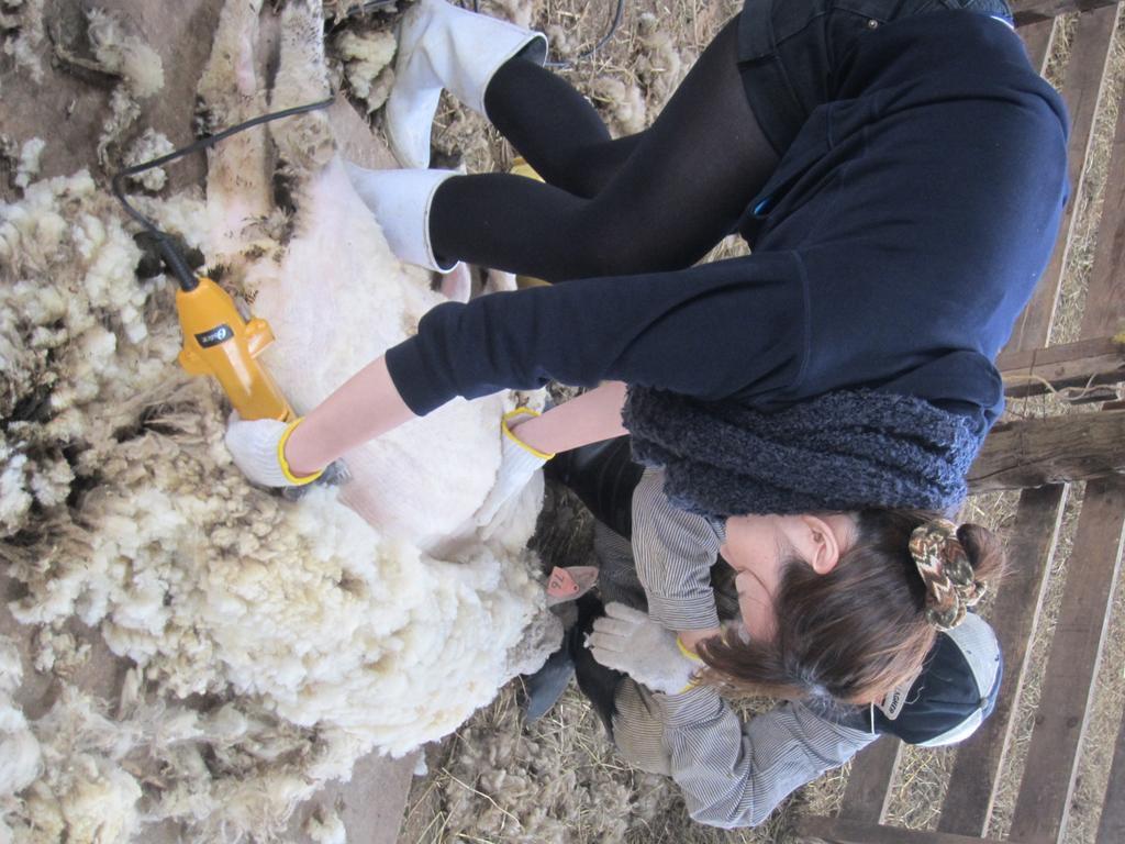 Yorkshire Farm Βίλα Shintoku Εξωτερικό φωτογραφία