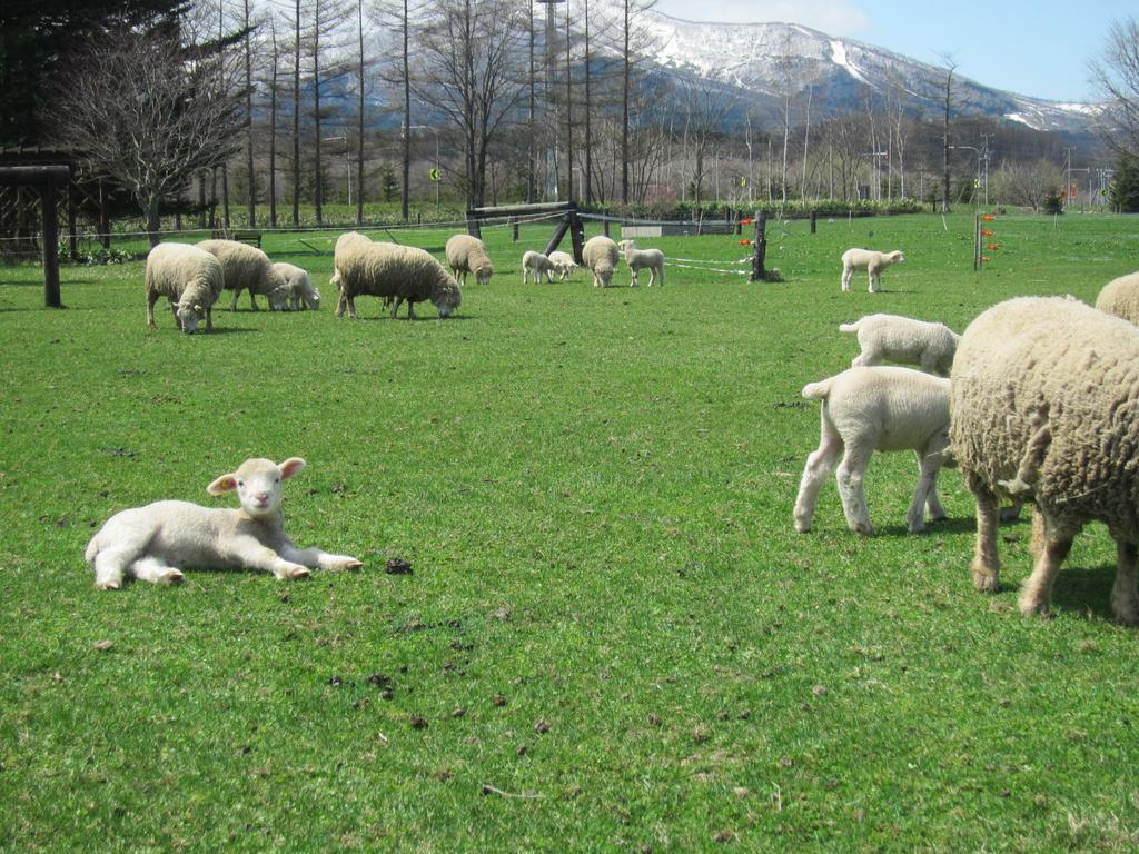 Yorkshire Farm Βίλα Shintoku Εξωτερικό φωτογραφία