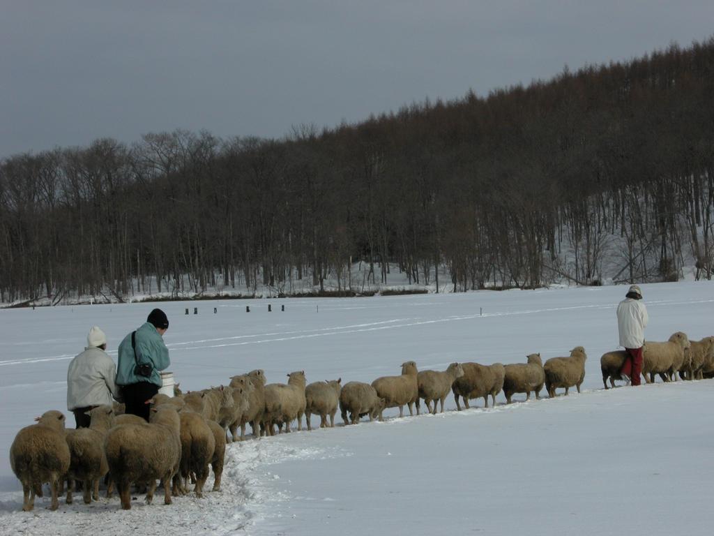 Yorkshire Farm Βίλα Shintoku Εξωτερικό φωτογραφία