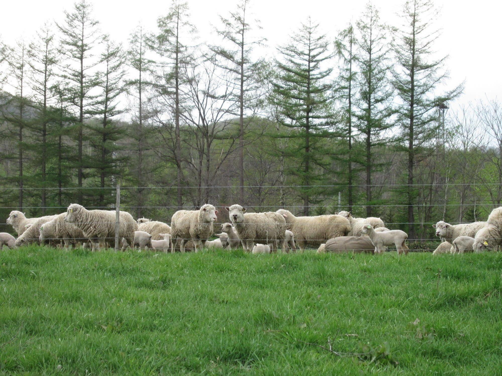 Yorkshire Farm Βίλα Shintoku Εξωτερικό φωτογραφία
